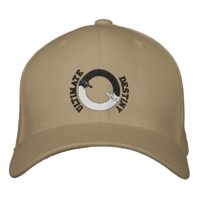 Longcat & Tacgnol Embroidered Hat by jay156