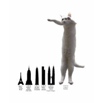 Longcat t-shirts by PeppaJ6 Longcat t-shirts