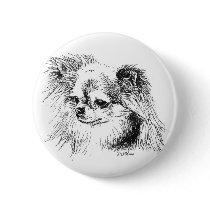 Longcoat chihuahua buttons