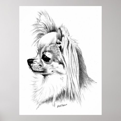 Longcoat Chihuahua Champion print