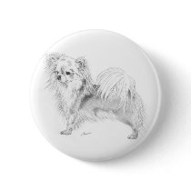 Longcoat chihuahua - standing buttons