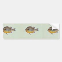 Longear sunfish bumper stickers