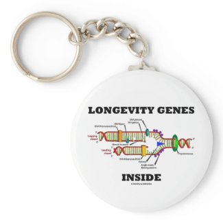 Longevity Genes Inside (DNA Replication) keychain