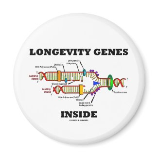 Longevity Genes Inside (DNA Replication) magnet