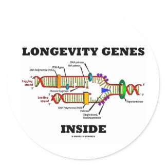 Longevity Genes Inside (DNA Replication) sticker