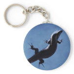 Longevity keychains