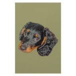 Longhair Dachshund Gift Stationery