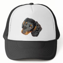 Longhair Dachshund Hat hats