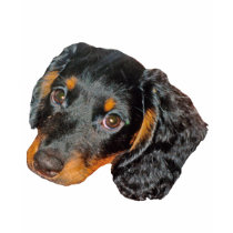 Longhair Dachshund t-shirts