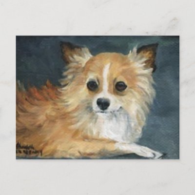 long haired chihuahua dog. amp;quot;Longhaired Chihuahuaamp;quot; Dog Art Postcard by CharlottesWebArt. This postcard is a reproduction of my original oil painting of a quot;Longhaired