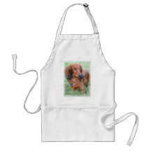 Longhaired Dachshund Apron