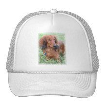 Longhaired Dachshund Baseball Cap Mesh Hat