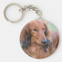Longhaired Dachshund Keychain