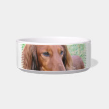 Longhaired Dachshund Pet Bowl