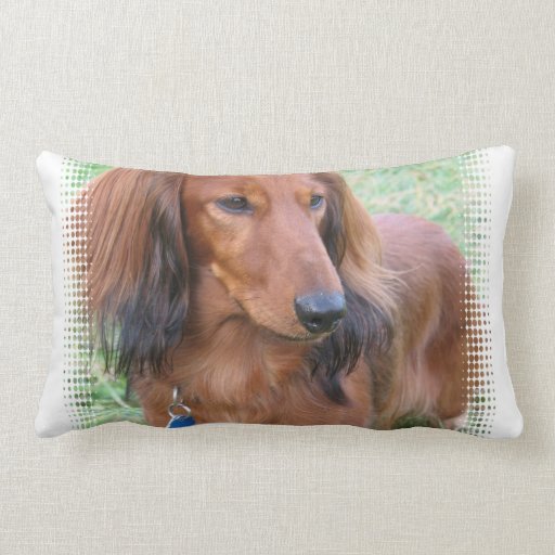 long dachshund pillow