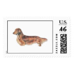 Longhaired Dachshund Postage Stamps