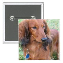 Longhaired Dachshund Square Pin