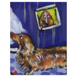 longhaired dachsund senses smiling moon customized letterhead