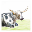 Longhorn at Rest posters