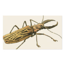 Longhorn Beetle Business Card Template