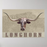 Longhorn Country Poster