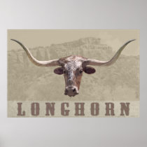 Longhorn Country Poster