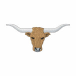 Longhorn