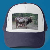 Longhorn hats