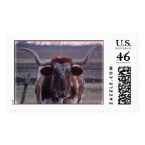 Longhorn postage by janawhoop Longhorn postage