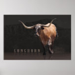 Longhorn Power H Poster