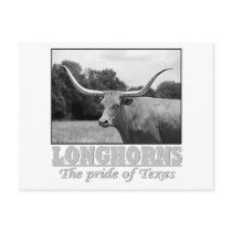 longhorn_pride postcards by teachergurrl longhorn_pride postcards