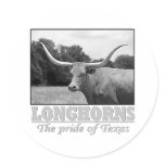 longhorn_pride round stickers