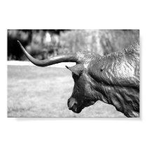 Longhorn Profile posters