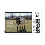 Longhorn stamp