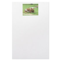 Longhorn Stationary Personalized Stationery