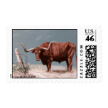 LONGHORN STEER postage