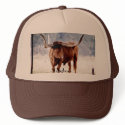 Longhorn Truckers hats by chysshirts Longhorn Truckers hats