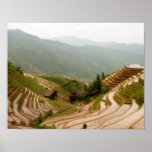 Longji Rice Terraces posters