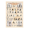 Longsword Blossfechten Poster posters