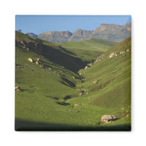 Longwall, Giant's Castle, Drakensberg Mountains,