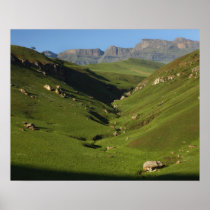 Longwall, Giant's Castle, Drakensberg Mountains,