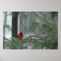 Lonley Cardinal Print
