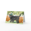 Loofah Thanksgiving cards by KELLI Loofah Thanksgiving cards