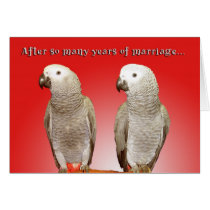 Look Alike cards