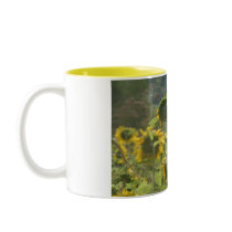 LOOK AT ALL THE FLOWERS mugs by mark59956 LOOK AT ALL THE FLOWERS mugs