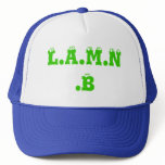 Look at me now mesh hat
