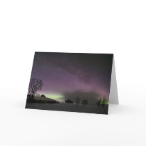 :"Look back."  Border Collie Photo Card