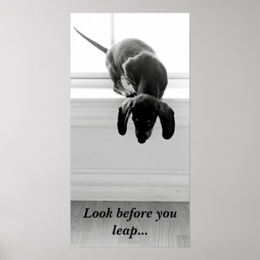Look before you leap proverb essay