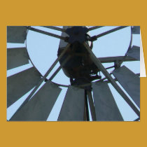 Look Closer! cards