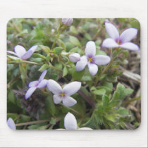 Look For Me In Spring mousepads